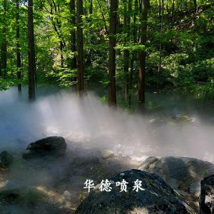 雾森系列